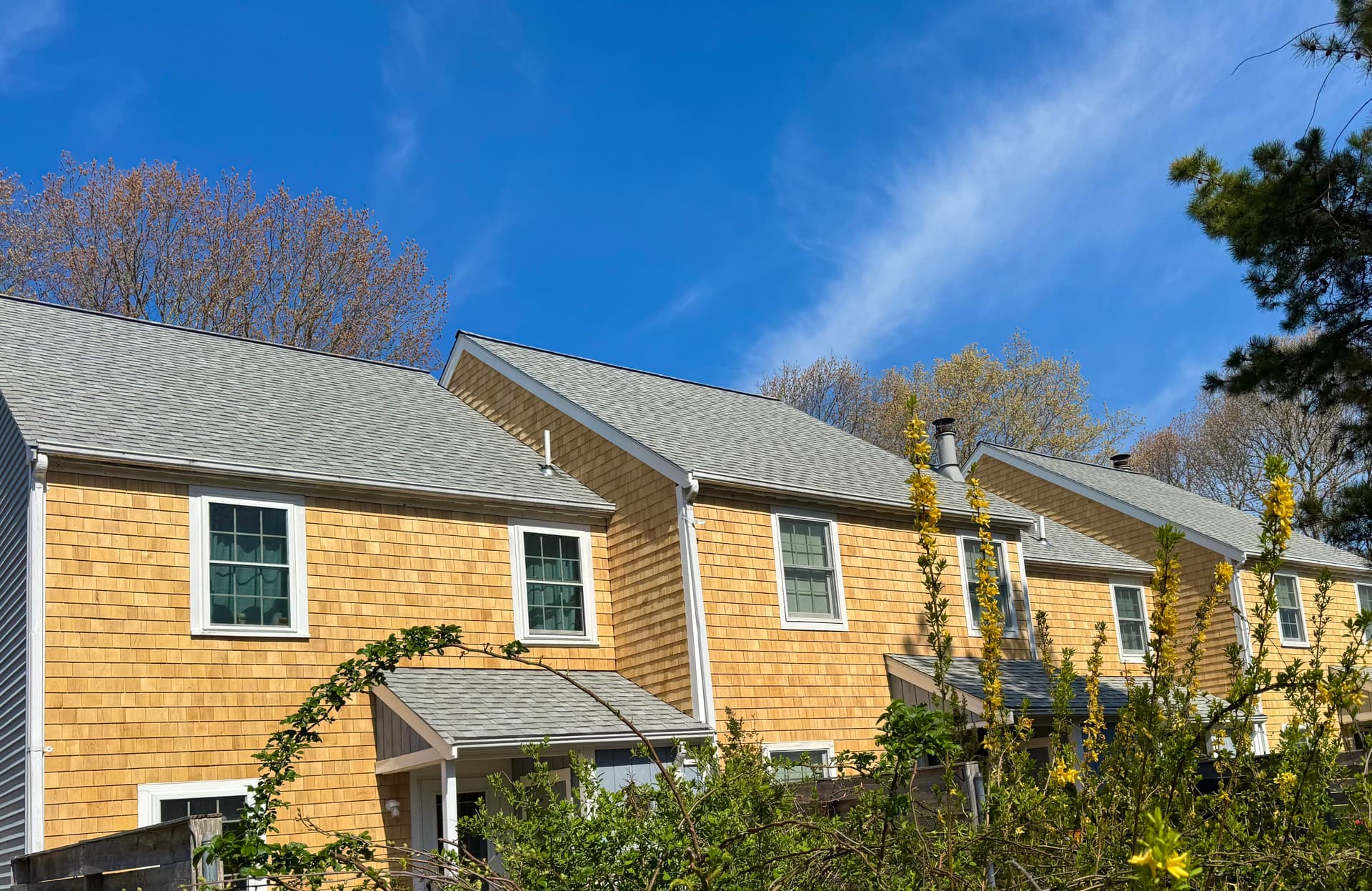 Fresh Cedar Shingles on a Cape Cod Home Done Right image