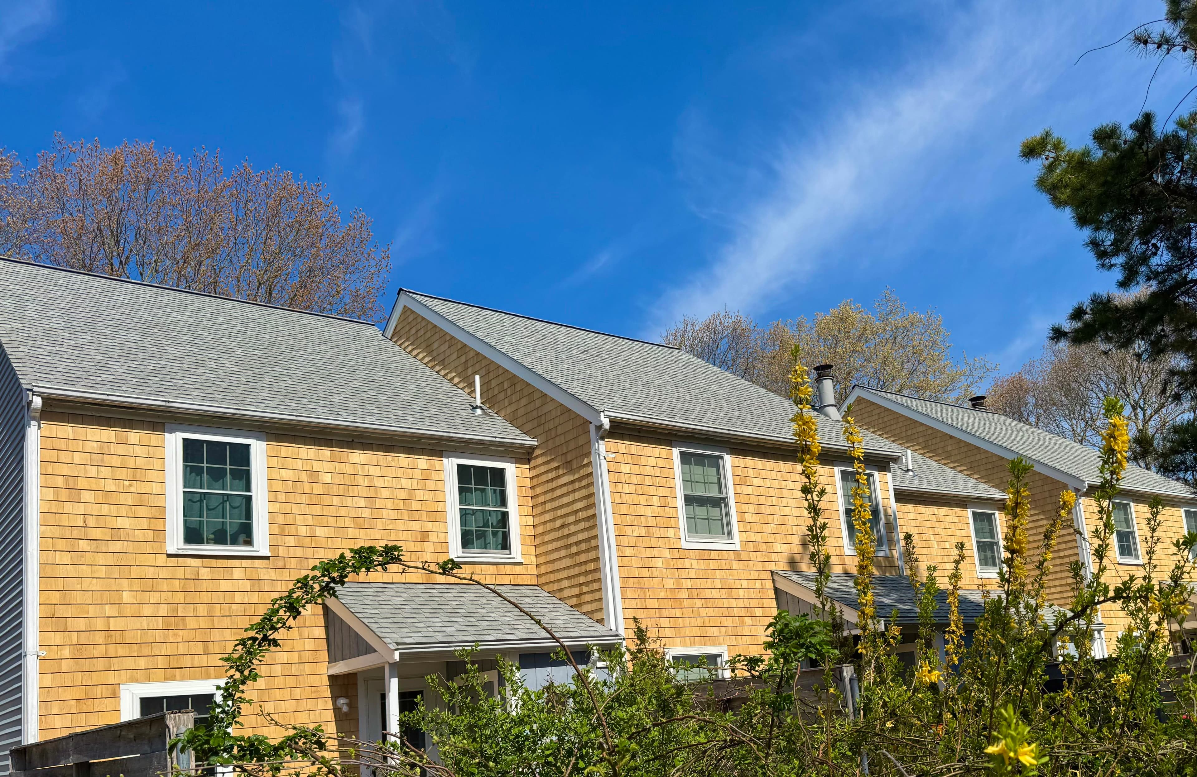 Project Fresh Cedar Shingles on a Cape Cod Home Done Right image