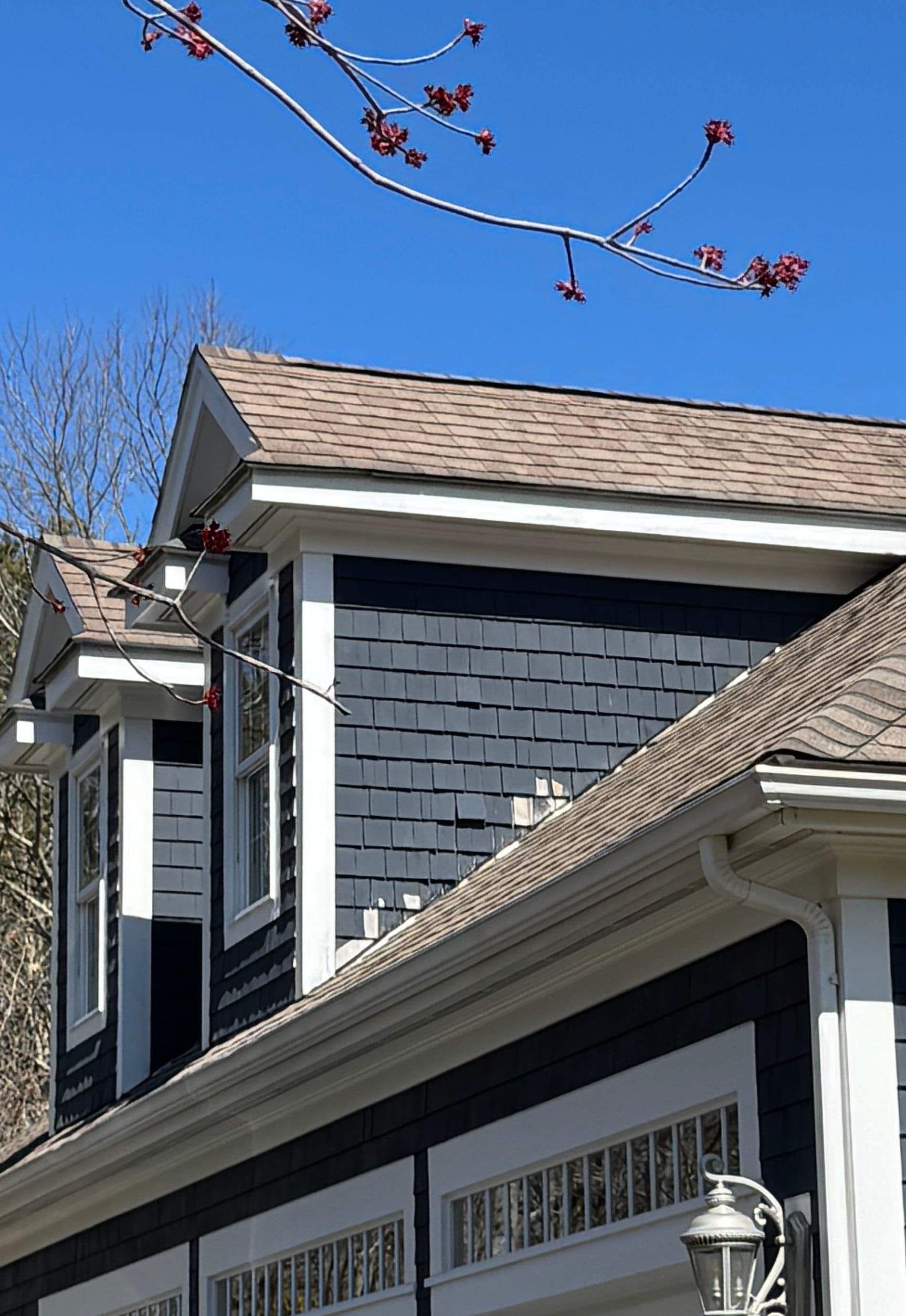 Project Why Pre-Finished Cedar Shingles Outlast Raw Cedar Siding image